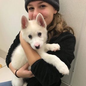 Meet your Posher, Shaelah